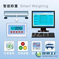 电子称重4~20mA与0-10V输出工业衡器供应——精准秤量，赋能智能制造
